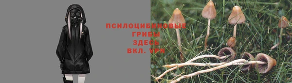 кокаин премиум Алексеевка