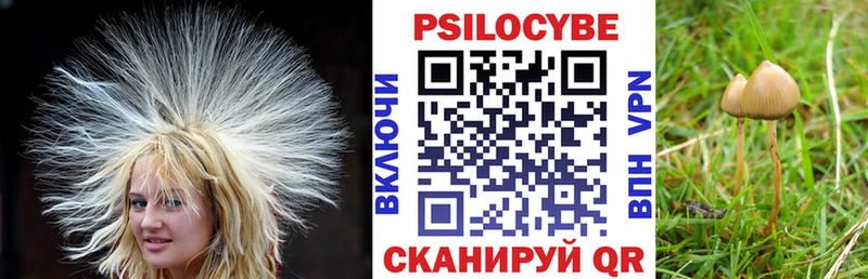 сколько стоит  Бахчисарай  Галлюциногенные грибы Psilocybine cubensis 