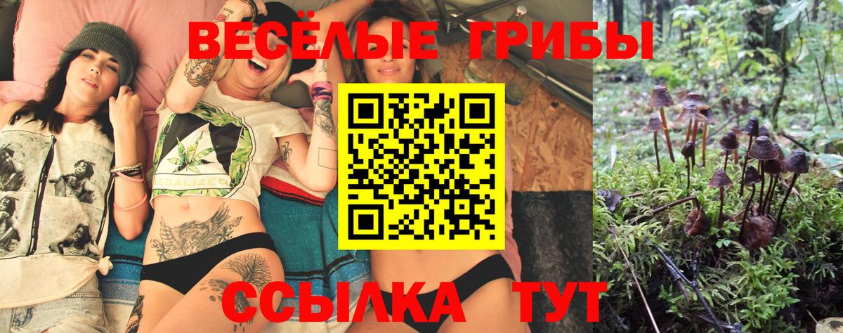 Галлюциногенные грибы ЛСД Бахчисарай