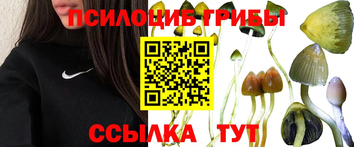 Бахчисарай  Галлюциногенные грибы Psilocybine cubensis  Вход с VPN 